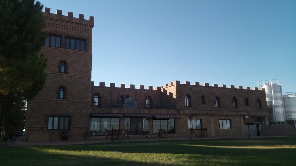 Hotel Viñedos y Bodegas El Castillo Villarrobledo Exterior foto